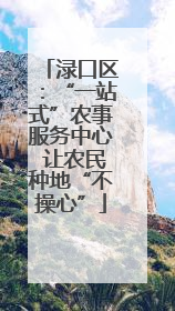 渌口区：“一站式”农事服务中心 让农民种地“不操心”