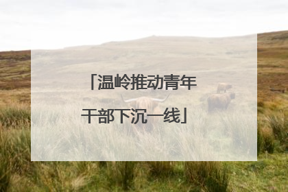温岭推动青年干部下沉一线