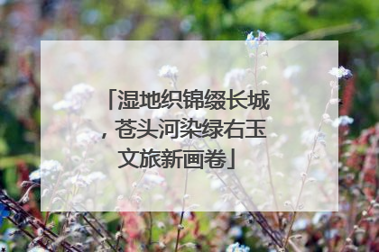 湿地织锦缀长城，苍头河染绿右玉文旅新画卷