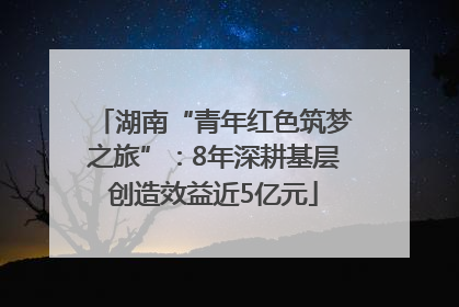 湖南“青年红色筑梦之旅”：8年深耕基层创造效益近5亿元