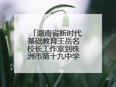 湖南省新时代基础教育王岳名校长工作室到株洲市第十九中学开展研修活动