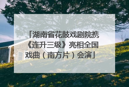 湖南省花鼓戏剧院携《连升三级》亮相全国戏曲（南方片）会演