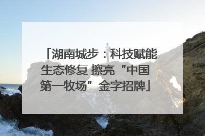 湖南城步：科技赋能生态修复 擦亮“中国第一牧场”金字招牌