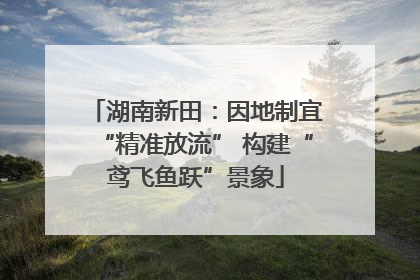 湖南新田：因地制宜“精准放流” 构建“鸢飞鱼跃”景象