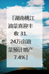 湖南桃江油菜喜迎丰收 31.24万亩油菜预计增产7.4%