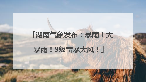 湖南气象发布：暴雨！大暴雨！9级雷暴大风！