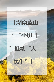 湖南蓝山：“小切口”推动“大民生”