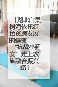 湖北白果树湾依托红色资源发展的蝶变——“抗战小延安”走上农旅融合振兴路
