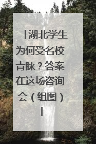 湖北学生为何受名校青睐？答案在这场咨询会（组图）