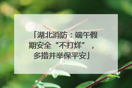 湖北消防：端午假期安全“不打烊”，多措并举保平安