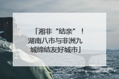湘非“结亲”！湖南八市与非洲九城缔结友好城市