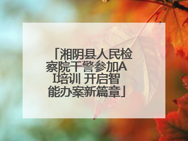 湘阴县人民检察院干警参加AI培训 开启智能办案新篇章