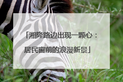 湘隆路边出现一颗心：居民窗前的浪漫新景