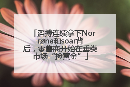 滔搏连续拿下Norrøna和soar背后，零售商开始在垂类市场“捡黄金”