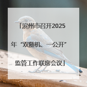滨州市召开2025年“双随机、一公开” 监管工作联席会议