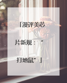 漫评美芯片新规：“打地鼠”