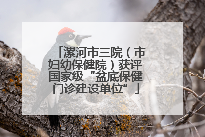 漯河市三院（市妇幼保健院）获评国家级“盆底保健门诊建设单位”