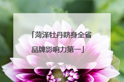 菏泽牡丹跻身全省品牌影响力第一
