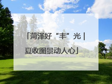 菏泽好“丰”光｜夏收图景动人心