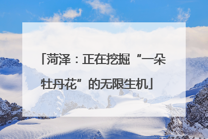 菏泽：正在挖掘“一朵牡丹花”的无限生机