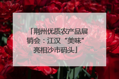 荆州优质农产品展销会：江汉“美味”亮相沙市码头