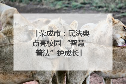 荣成市：民法典点亮校园 “智慧普法”护成长