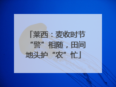 莱西：麦收时节“警”相随，田间地头护“农”忙