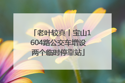 老叶较真丨宝山1604路公交车增设两个临时停靠站