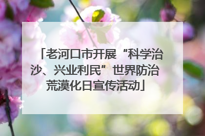 老河口市开展“科学治沙、兴业利民”世界防治荒漠化日宣传活动