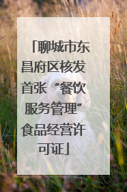聊城市东昌府区核发首张“餐饮服务管理”食品经营许可证