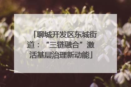 聊城开发区东城街道：“三链融合”激活基层治理新动能
