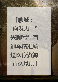 聊城：三向发力 “兴聊号”直通车精准输送医疗资源直达基层