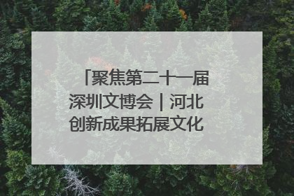 聚焦第二十一届深圳文博会｜河北创新成果拓展文化产业“朋友圈”