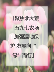 聚焦北大荒｜五九七农场：加强湿地保护 发展向“绿”而行