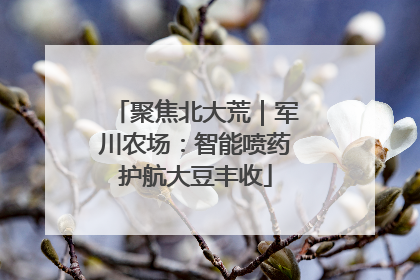 聚焦北大荒｜军川农场：智能喷药护航大豆丰收