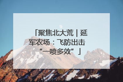 聚焦北大荒｜延军农场：飞防出击 “一喷多效”
