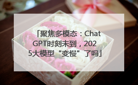 聚焦多模态：ChatGPT时刻未到，2025大模型“变慢”了吗