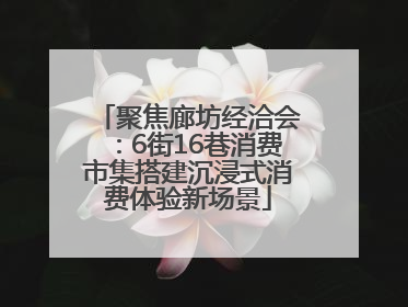 聚焦廊坊经洽会：6街16巷消费市集搭建沉浸式消费体验新场景