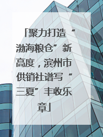 聚力打造“渤海粮仓”新高度，滨州市供销社谱写“三夏”丰收乐章