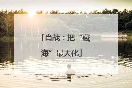 肖战：把“藏海”最大化
