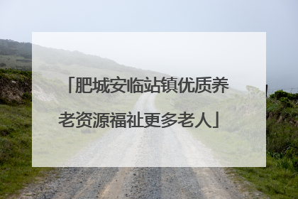 肥城安临站镇优质养老资源福祉更多老人