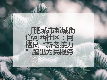 肥城市新城街道河西社区：网格员“新老接力”跑出为民服务“加速度”
