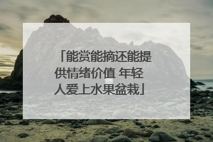 能赏能摘还能提供情绪价值 年轻人爱上水果盆栽