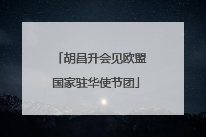 胡昌升会见欧盟国家驻华使节团