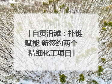 自贡沿滩：补链赋能 新签约两个精细化工项目