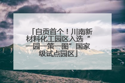 自贡首个！川南新材料化工园区入选“一园一策一图”国家级试点园区
