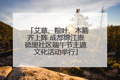 艾草、粽叶、木箭齐上阵 成都锦江崇德里社区端午节主题文化活动举行