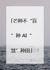 芒种不“盲”种 AI“慧”种田