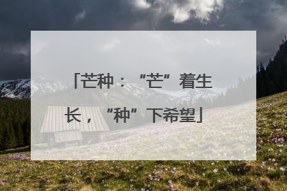 芒种：“芒”着生长，“种”下希望