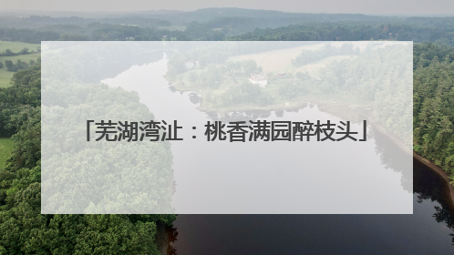芜湖湾沚：桃香满园醉枝头